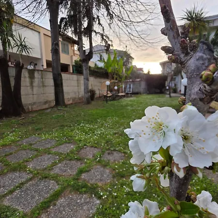 Apartment Donna Rosa *
